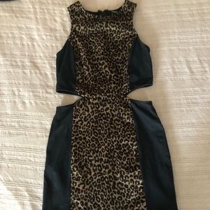 Leopard 🐆 black cutout dress